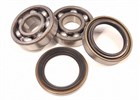 WHEEL BEARING KIT - DIAHATSU MIRA DOMINO 85-94 (F)