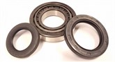 WHEEL BEARING KIT - B1600 ECONOVAN 79-84 (R)